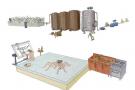 5 cose su Van Lieshout